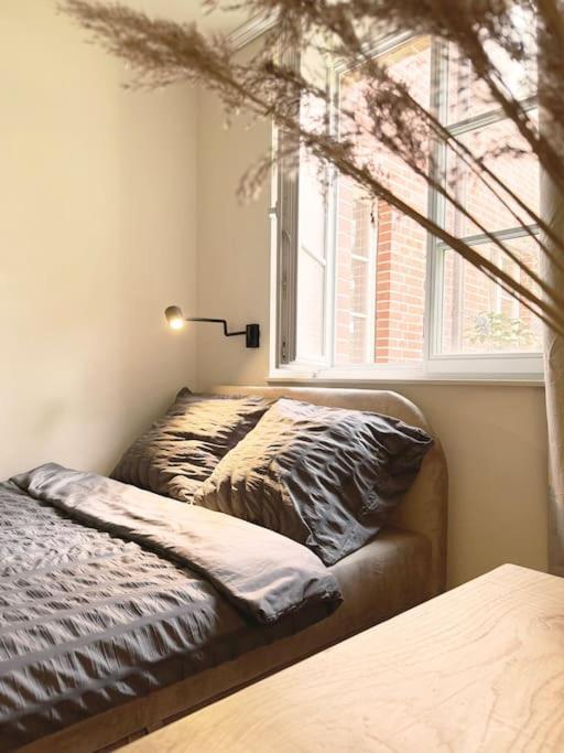 Natural Apartment In The City Center - Old Town Wrocław Buitenkant foto