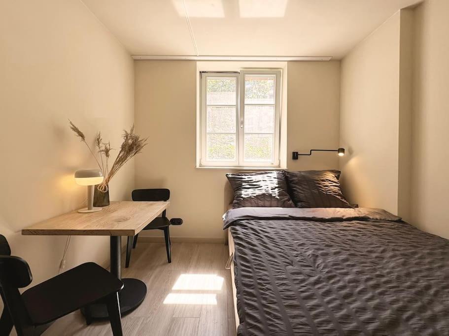 Natural Apartment In The City Center - Old Town Wrocław Buitenkant foto